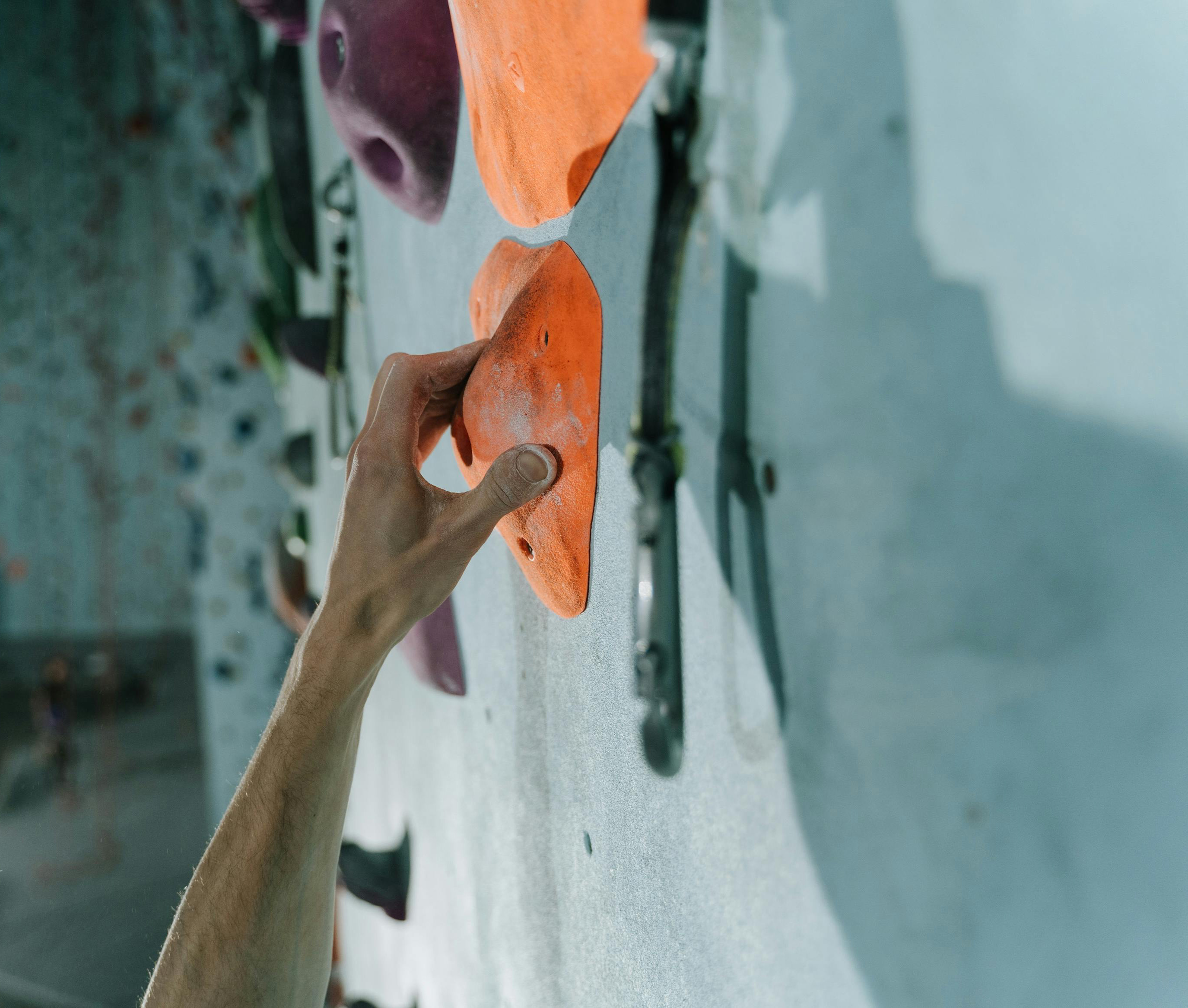 Accueil - The Wall - photo 26