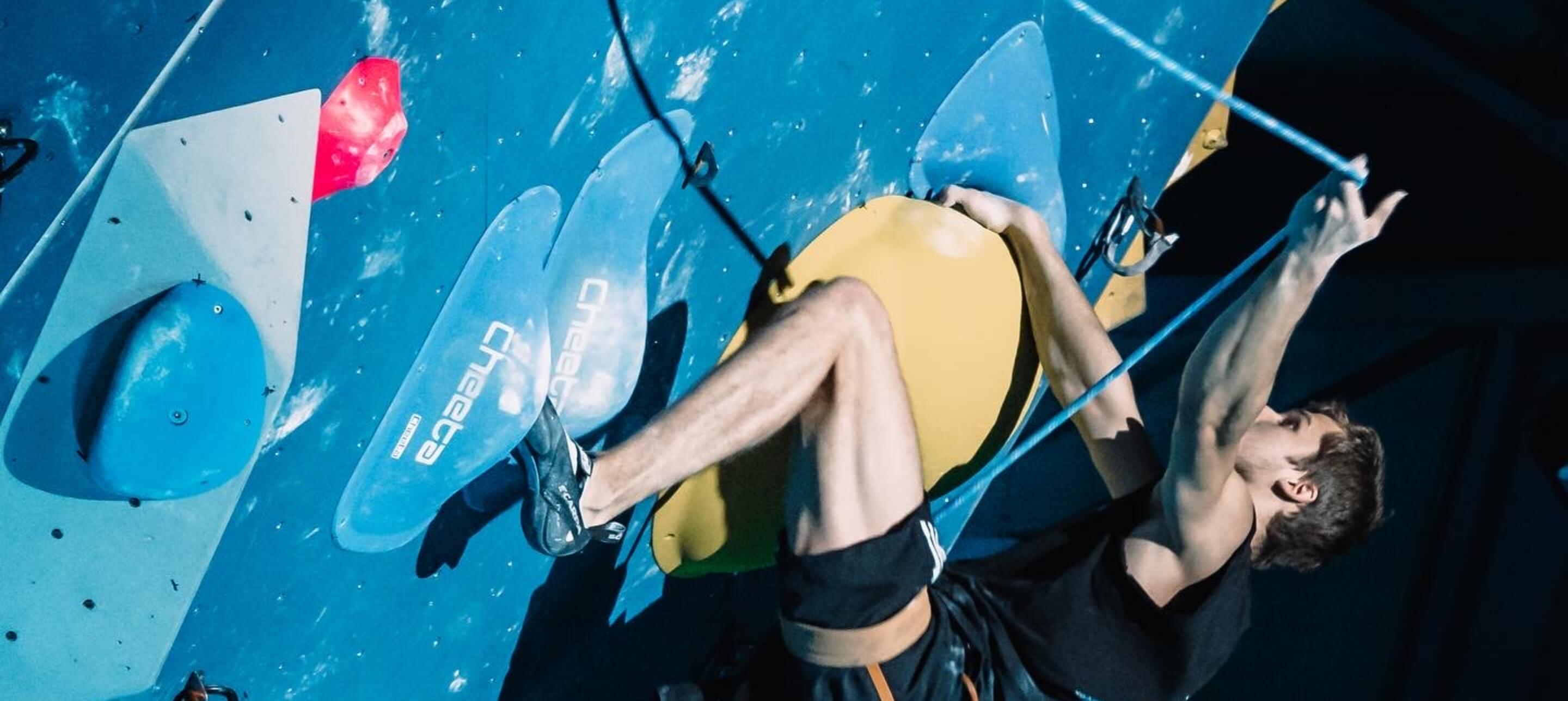 Accueil - The Wall - photo 33